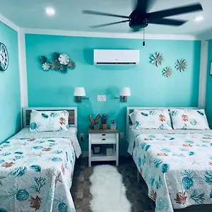 Beautiful And Comfortable Rom # 2 , Tampa United States